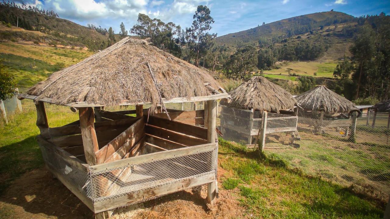 Hacienda Buenos Aires En Iza