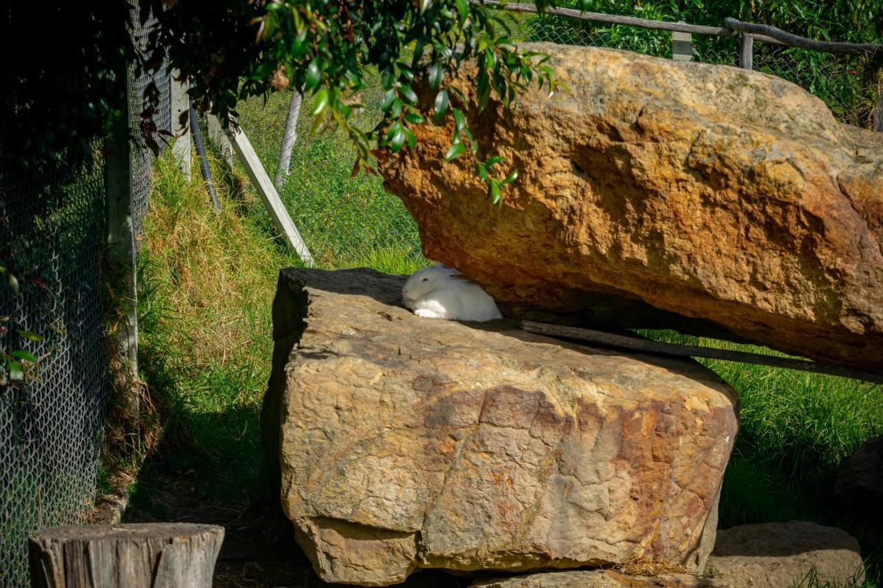 Hacienda Buenos Aires En Agroturismo Iza