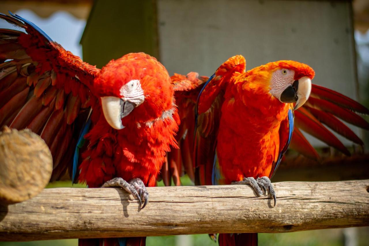 Hacienda Buenos Aires En Agroturismo *