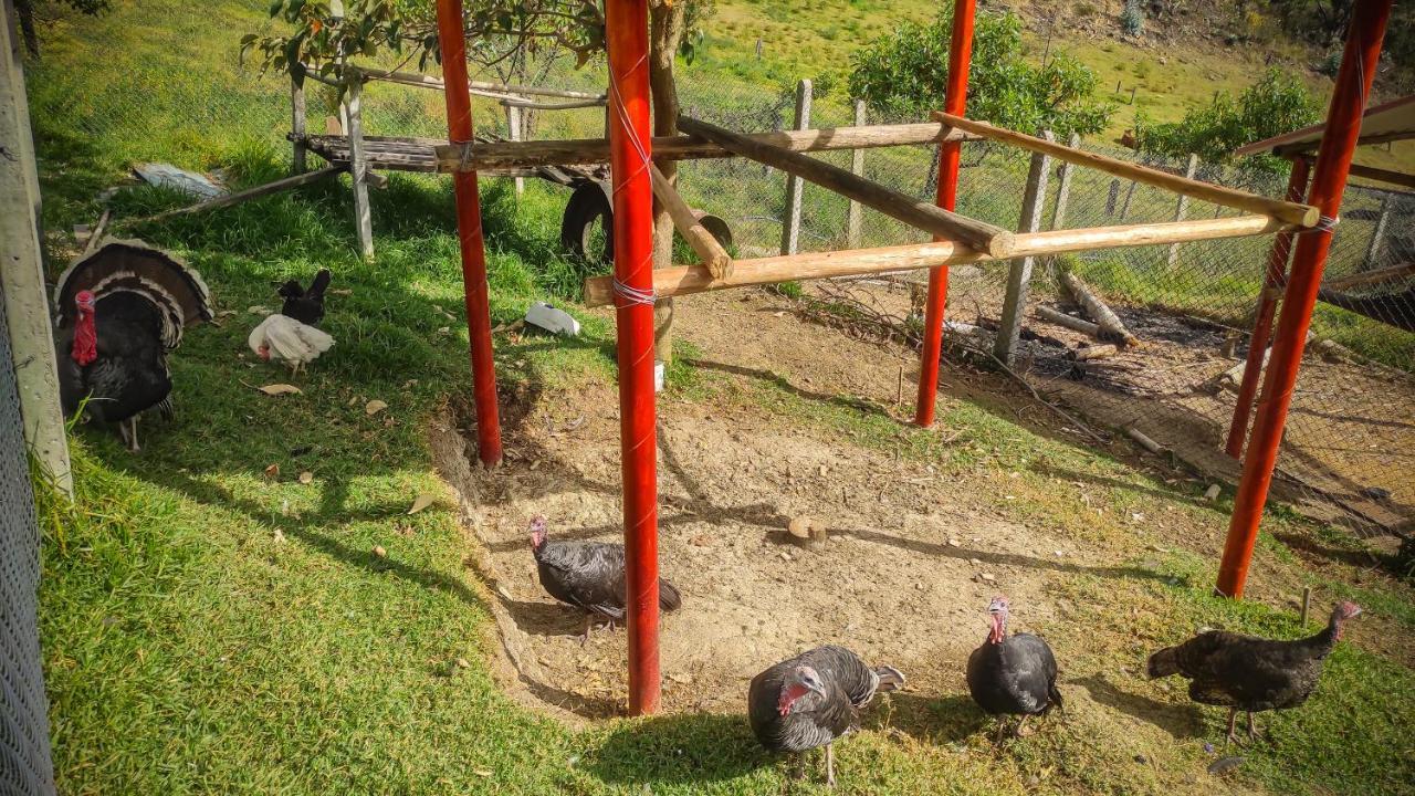 Agroturismo Hacienda Buenos Aires En Iza